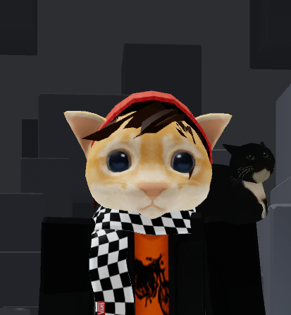 Lucky the cat