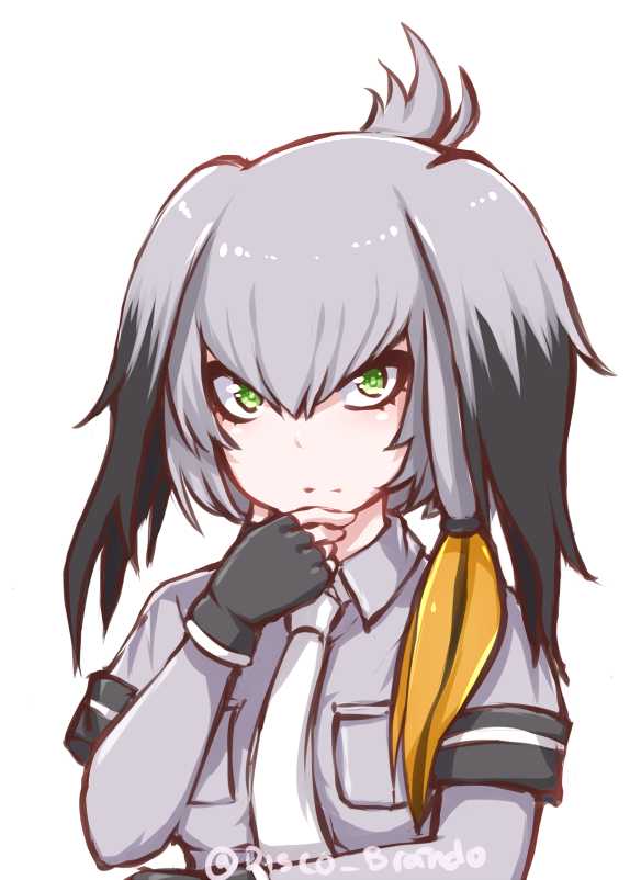 Shoebill (rigged)