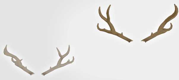 Antlers