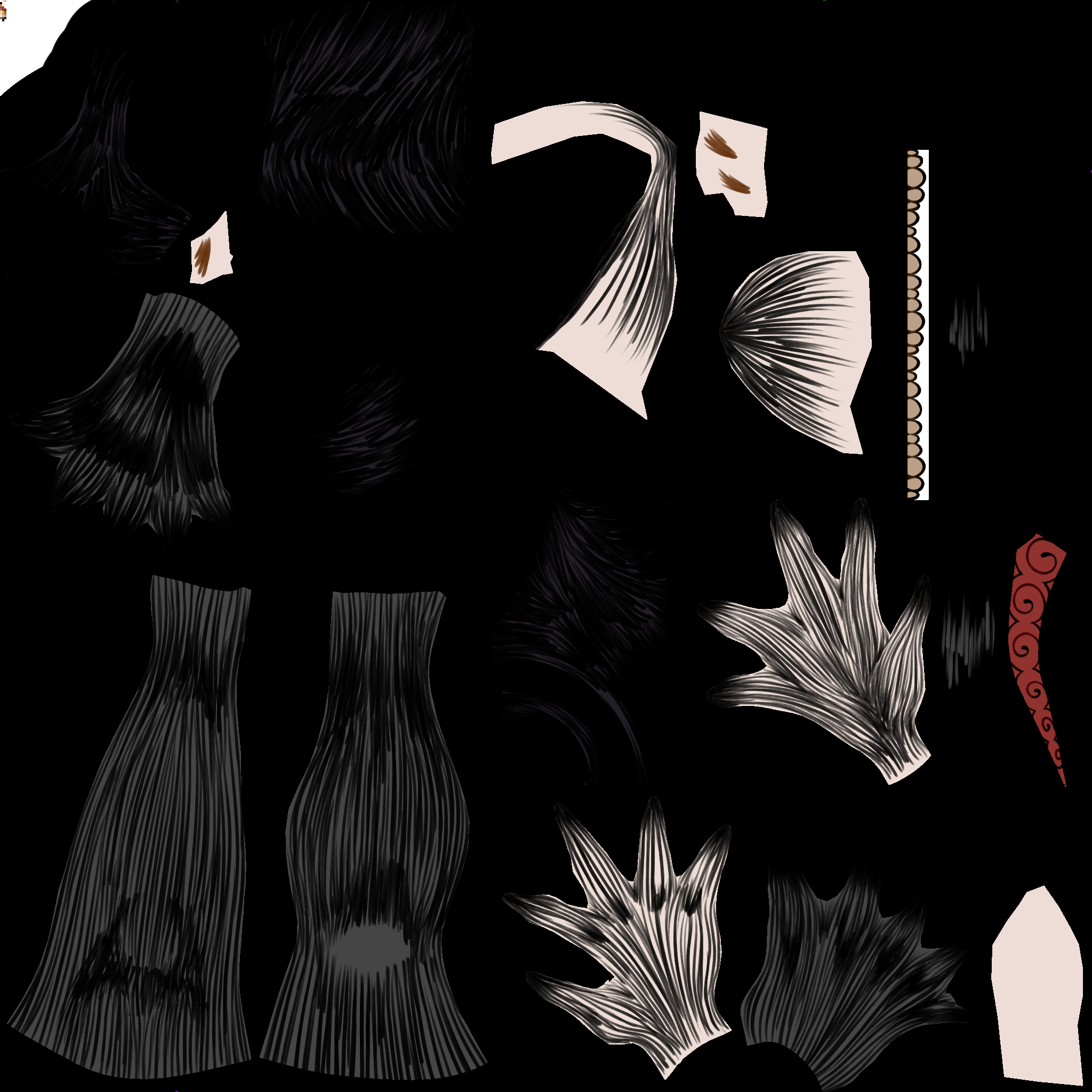 Catmaid experimento