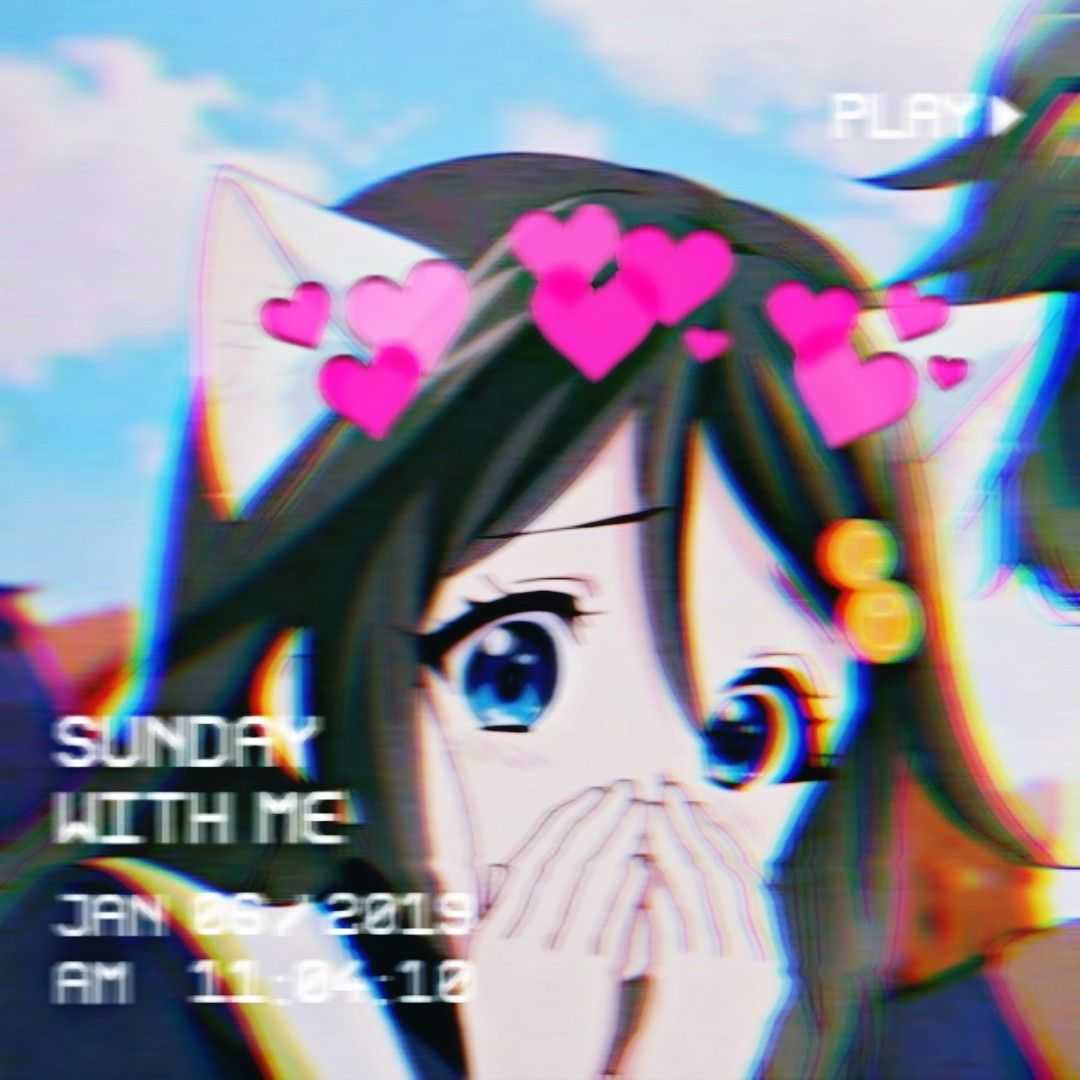 neko animation squad