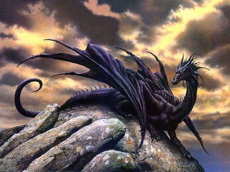 Black Dragon Generic Avatar