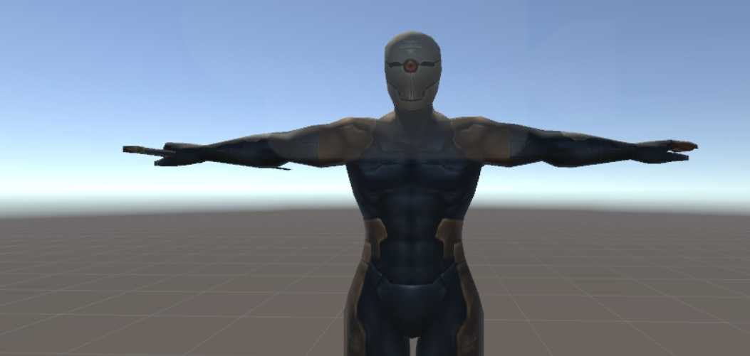 Gray Fox