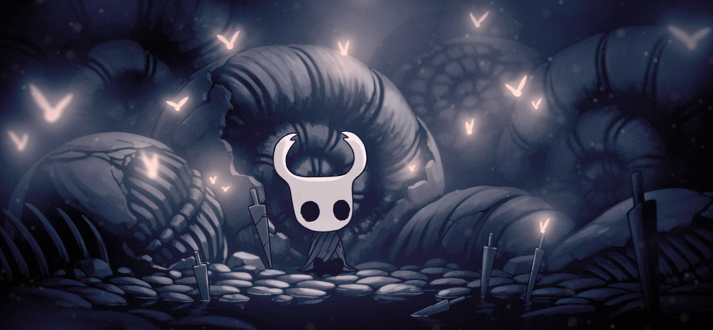 A Hollow Knight