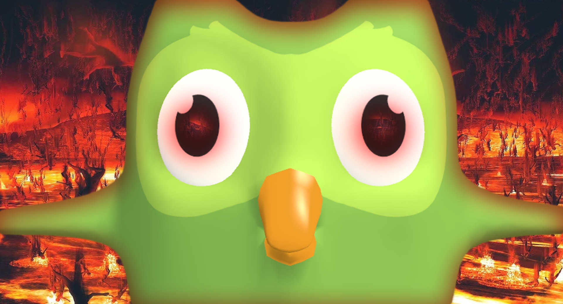 Duolingo Owl With Language Gestures