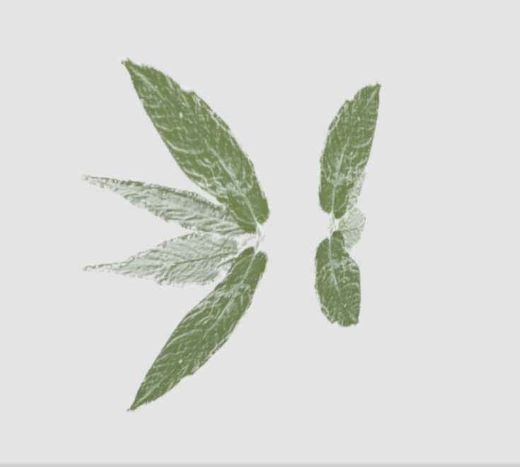 Green Leaf Wings