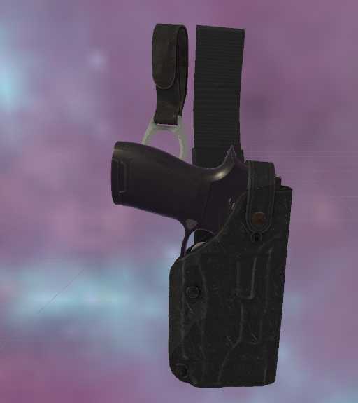 BiC's Lovely Holster.