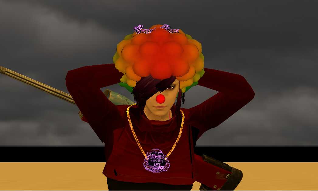 Clown Wig