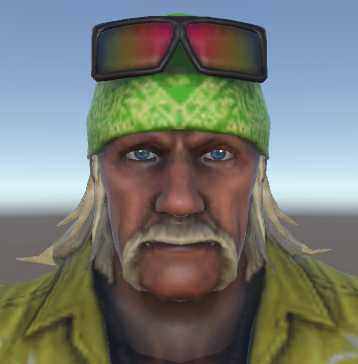 WWE Immortals Beach Hogan