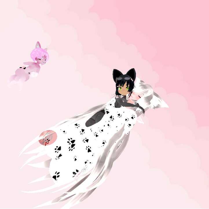 Povanna's Kitten