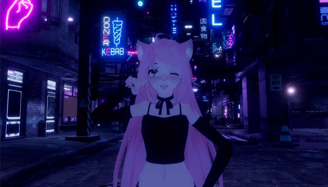 Kaylee's Kitty Kat