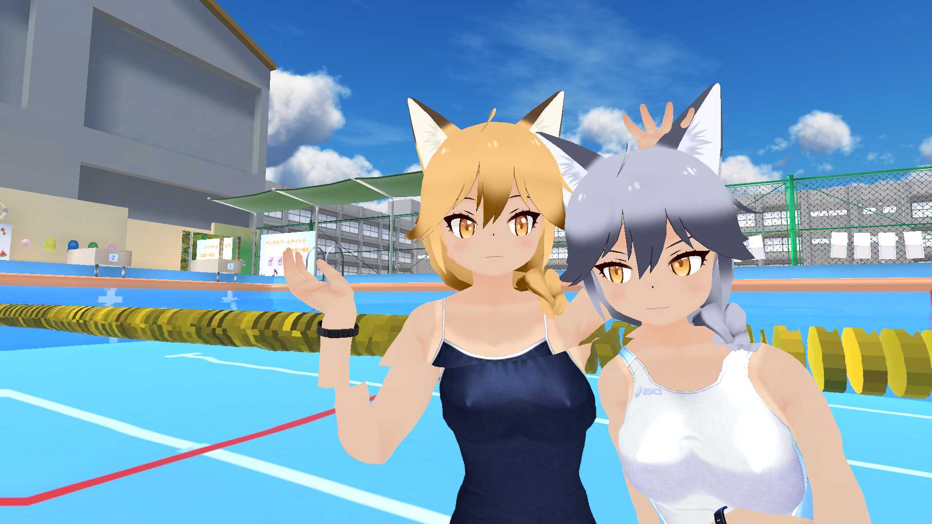 Swimming Foxes