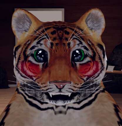 Tiger Cub (updated) 