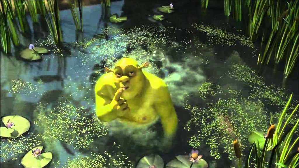Swamp Water