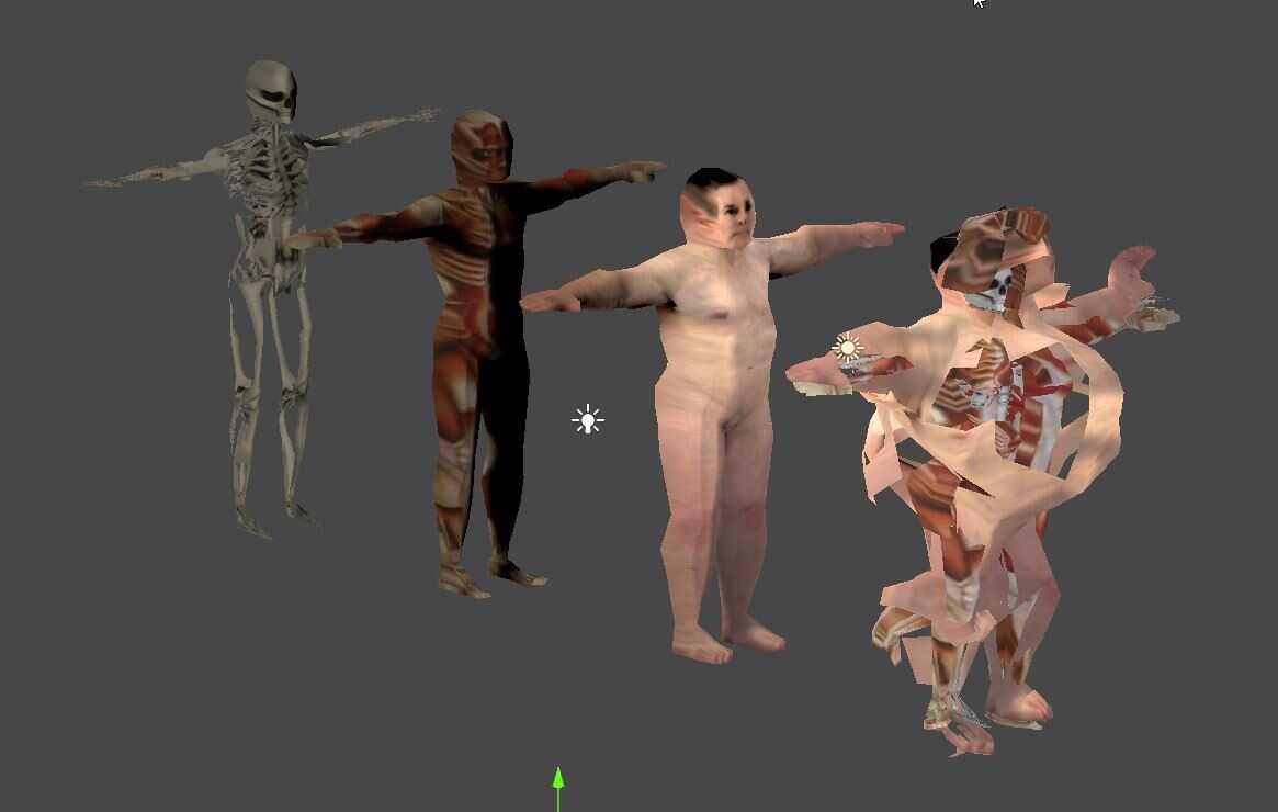 Anatomy