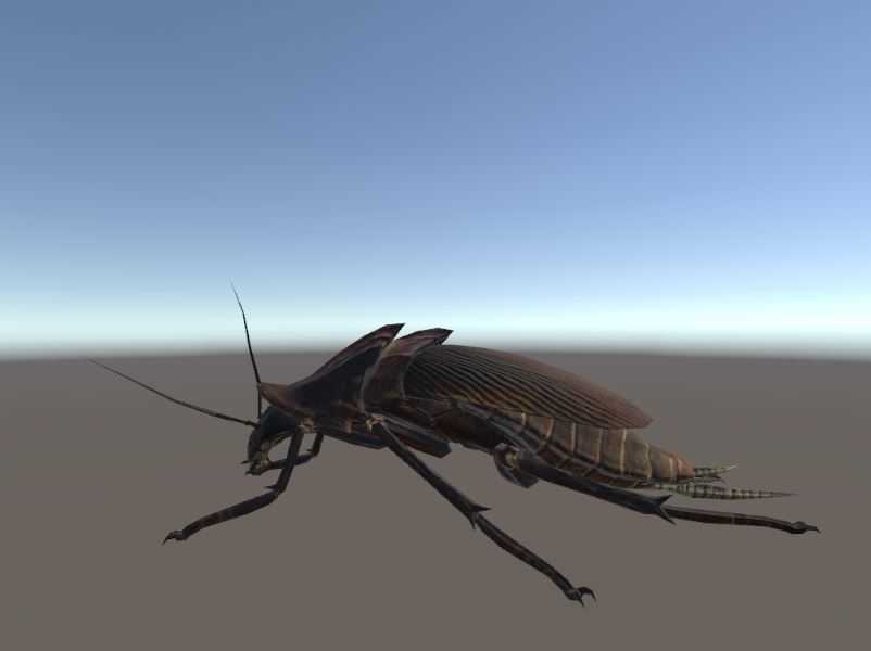 Radroaches