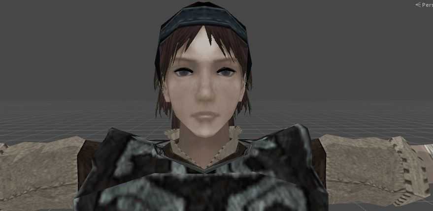 Wander SotC