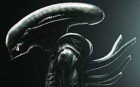 Xenomorph Drone