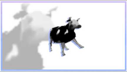 Polish cow