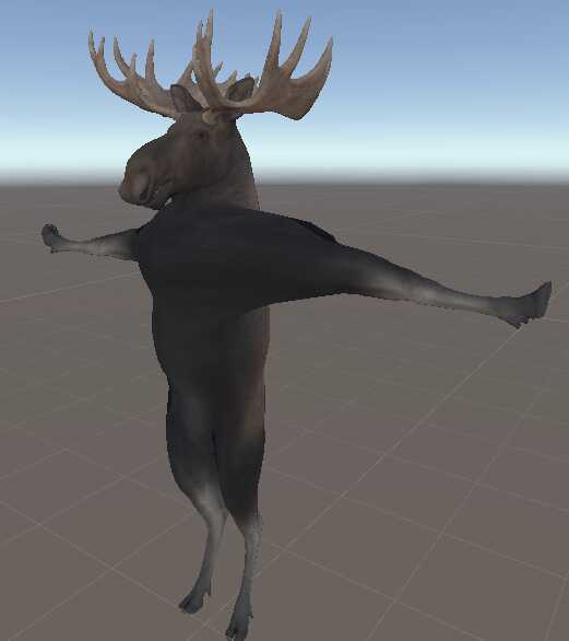Moose