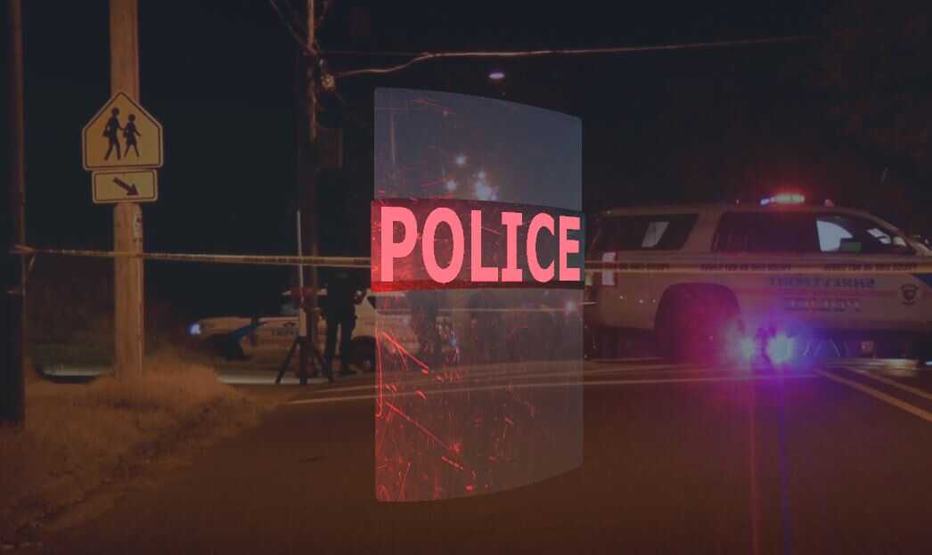 Standard Police Riot Shield