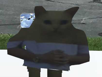 Cat Had To Do It To Em (Not Rigged)