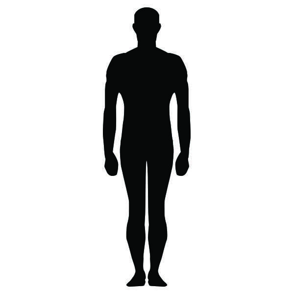Average Human being
