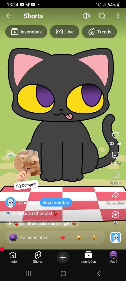 Sig cat