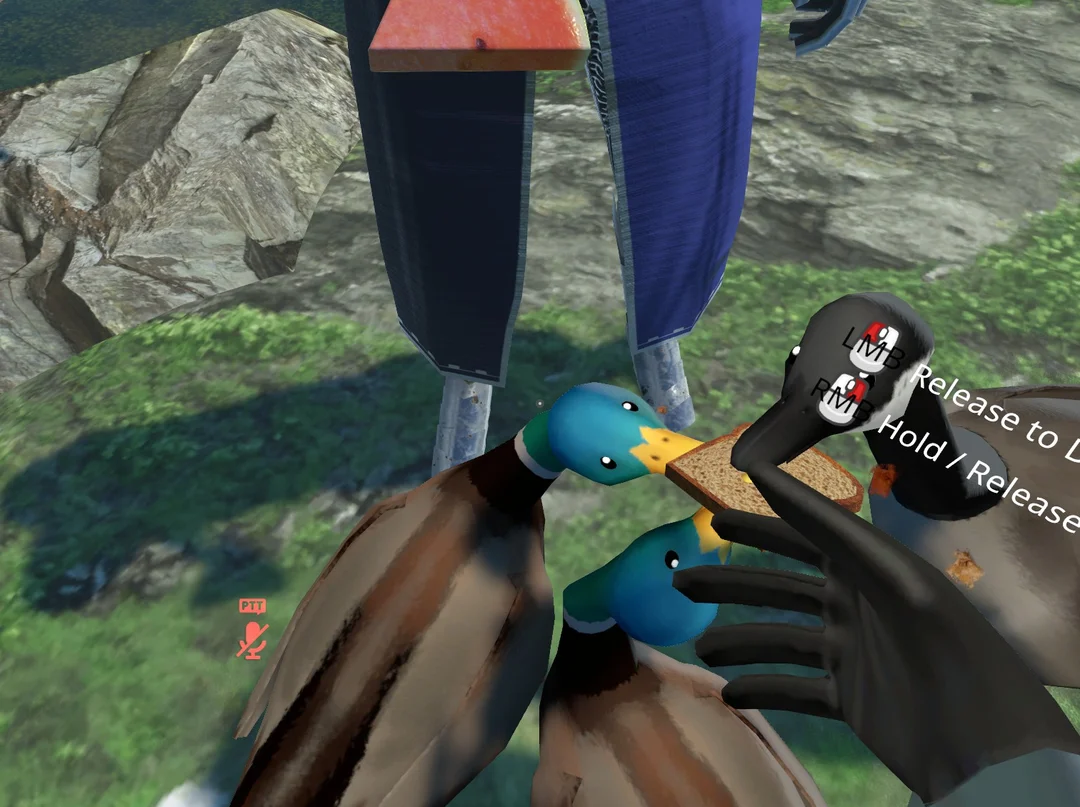 Rats & Ducks