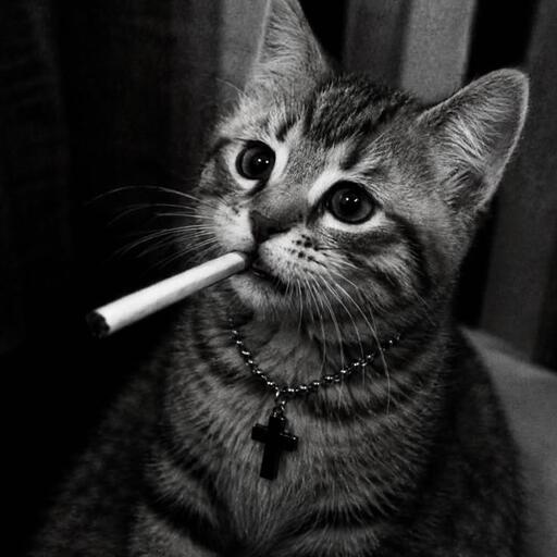Zilo