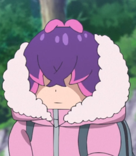 Xenarthra