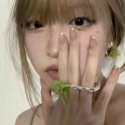 Hayami3D